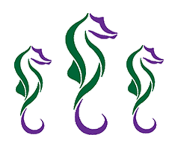 JOB COMPLETED : Everything Guana Website